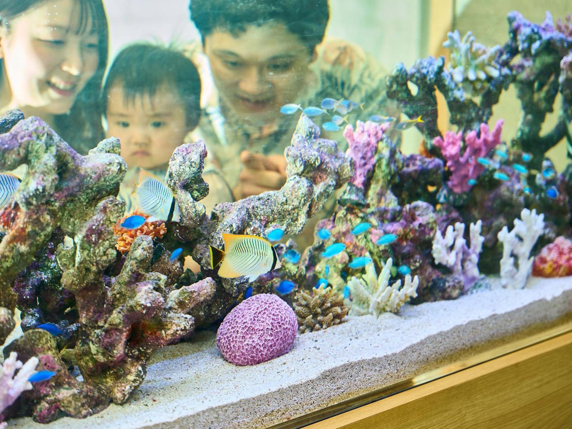 Daiwa Roynet Hotel Naha Kokusaidori Dış mekan fotoğraf